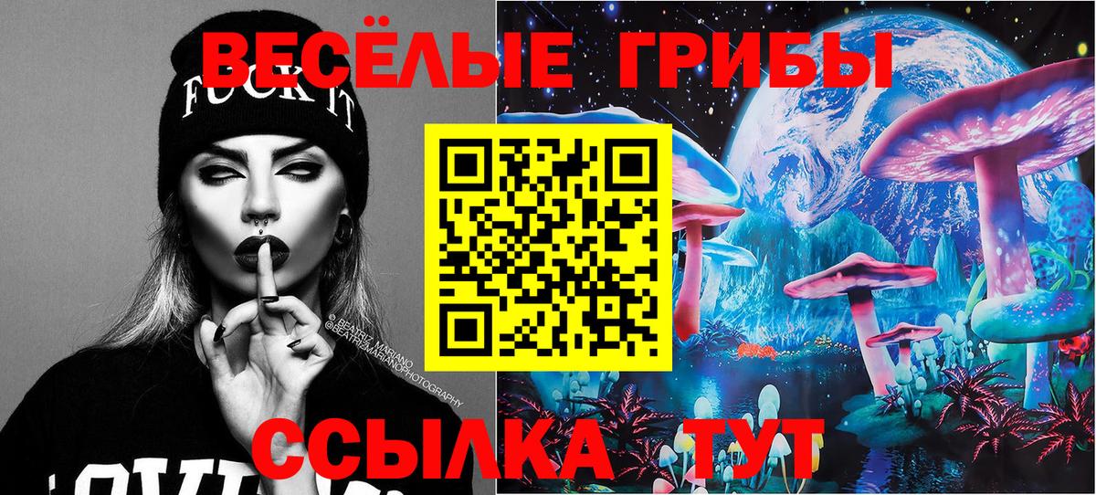 цена наркотик  Вход с VPN  Тында  Псилоцибиновые грибы прущие грибы 