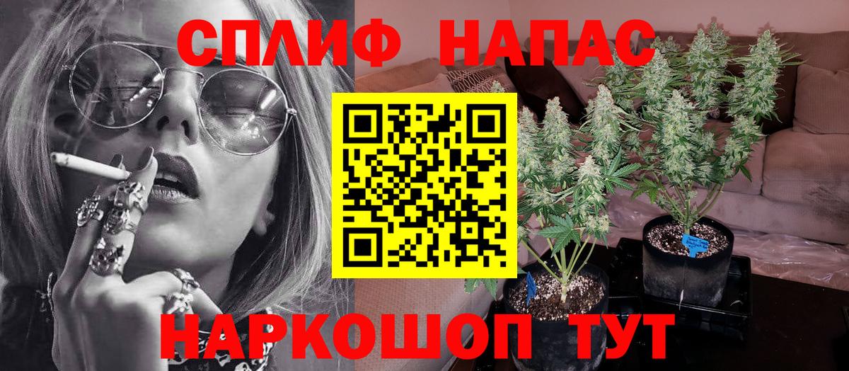 Тында  Шишки марихуана план  Шишки марихуана ГИДРОПОН  Вход с VPN 